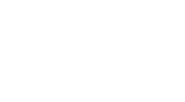DBI – Digital Business Innovation